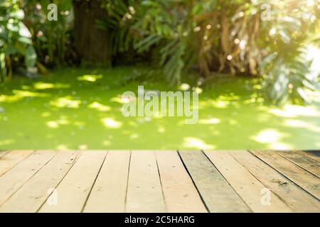 Vert nature marécage flou avec le bord de mer en bois pour la publicité de produit montage arrière-plan Banque D'Images