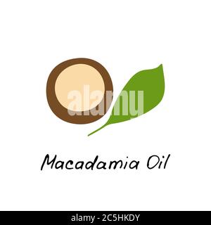 Huile de macadamia. Ingrédient cosmétique. Huile nutritionnelle pour les soins de la peau. Icône représentant un noix de macadamia dessinée à la main. Illustration vectorielle. Illustration de Vecteur