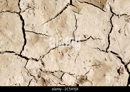 Sol boueux sec et fissuré en raison de la température chaude, concept de sécheresse, boue séchée, vue à angle bas, campagne, Allemagne, Europe Banque D'Images