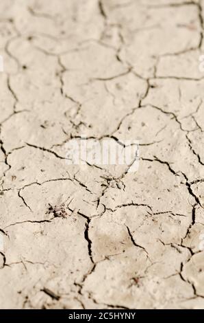 Sol boueux sec et fissuré en raison de la température chaude, concept de sécheresse, boue séchée, vue à angle bas, campagne, Allemagne, Europe Banque D'Images