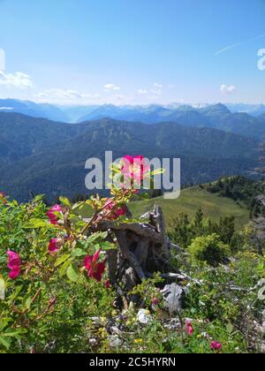 Randonnée sur la montagne Roß-und Buchstein en Bavière Banque D'Images