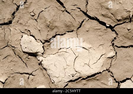 Sol boueux sec et fissuré en raison de la température chaude, concept de sécheresse, boue séchée, vue à angle bas, campagne, Allemagne, Europe Banque D'Images