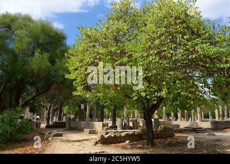 Grèce Olympie, ruines anciennes de la Palaestra, zone dans laquelle les athlètes se sont entraînés à la lutte à Olympie Banque D'Images