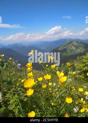 Randonnée sur la montagne Roß-und Buchstein en Bavière Banque D'Images