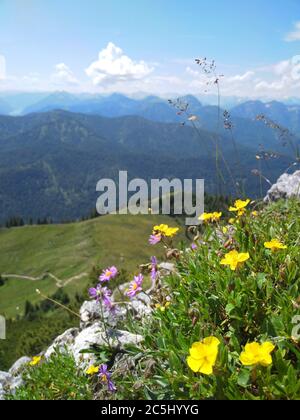 Randonnée sur la montagne Roß-und Buchstein en Bavière Banque D'Images