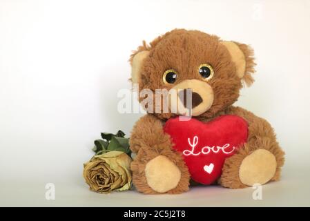 ours en peluche avec un coeur et une rose séchée Banque D'Images