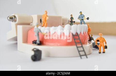 les personnes miniatures pour réparer une dent ou un petit ouvrier de figure nettoyant le modèle de dent comme médical et de soins de santé. Idée pour le nettoyage des soins dentaires ou du dentiste. Banque D'Images