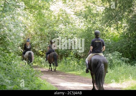 Trio de jeunes vus à cheval et poney à travers des forêts denses au début de l'été Banque D'Images