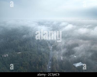 Vue aérienne de la campagne le matin. Brouillard matinal sur la forêt Banque D'Images