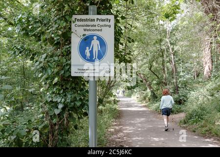 Foyer peu profond d'une femme vue avec un poteau de randonnée, suivant un sentier forestier dans une réserve naturelle populaire Banque D'Images