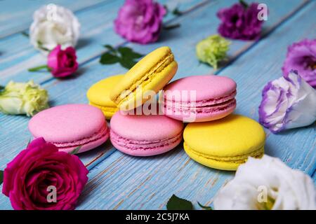 macarons roses et jaunes avec fleurs sur une table en bois bleu Banque D'Images