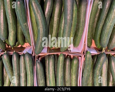 Gros plan de concombres frais et isolés dans des boîtes en carton sur le marché allemand des agriculteurs Banque D'Images