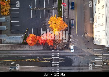 Vue aérienne du carrefour en automne, arbres jaunes et rouges sur le carrefour Banque D'Images