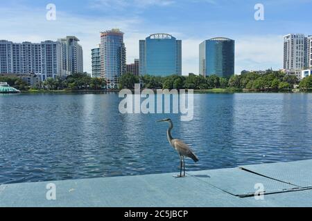 ORLANDO, FL -21 JUIN 2020 - vue sur la ligne d'horizon du centre-ville d'Orlando, Floride, vue depuis le parc Lake Eola. Banque D'Images