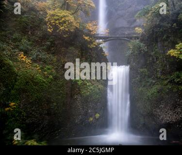 Exposition longue des cascades de Multnomah, Oregon, États-Unis, en automne, avec des couleurs jaunes et des conifères dans le brouillard Banque D'Images