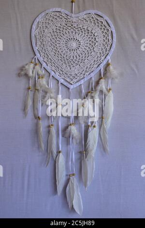 Coeur en forme de chat de rêve avec plumes de paon beige à l'intérieur. Banque D'Images