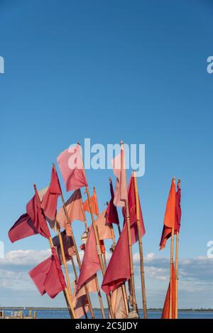 Hiddensee, Allemagne. 06e juin 2020. Drapeaux de signalisation pour filets de pêche. Credit: Stephan Schulz/dpa-Zentralbild/ZB/dpa/Alay Live News Banque D'Images