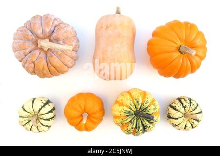 Citrouille et courge sur fond blanc Banque D'Images