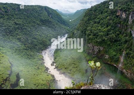 Vue aérienne sur la rivière Potaro depuis le sommet des chutes Kaieteur dans le parc national de Kaieteur, Guyana, Amérique du Sud Banque D'Images