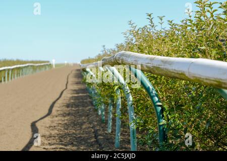 Un petit foyer de clôtures tubulaires légères vues sur une piste de course professionnelle. La piste souple a été mise en rack depuis la dernière course. Banque D'Images