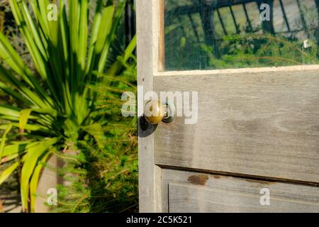 Porte en bois vintage, située dans une grande serre. Vu ouvert pour fournir l'accès à des plantes tropicales et subtropicales dans un jardin botanique public. Banque D'Images