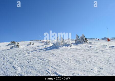 Piste de ski en fin d'après-midi, station de montagne Kopaonik, Serbie Banque D'Images