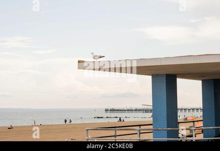 Paysage avec le mouette assis sur le toit et vue sur l'océan de Brighton Beach pendant la soirée de la journée d'été de juillet 2020 Banque D'Images