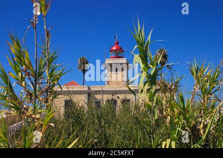 Portugal, région de l'Algarve, Lagos. Magnifique phare de la falaise à Ponta de Piedade encadré de canne et de rushes. Banque D'Images