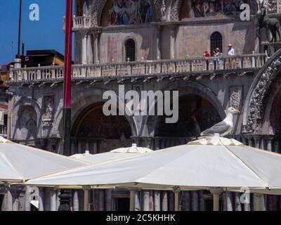 San Marco, Venise, Italie - juillet 2020. Les touristes européens seulement sont lentement de retour dans Venise déserte après Covid-19 confinement de ville lutte pour survivre comme homme Banque D'Images