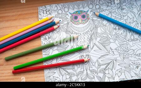 Pays-Bas, le 2020 juillet, une image d'une nouvelle chose tendance appelée adultes coloriage book. Banque D'Images