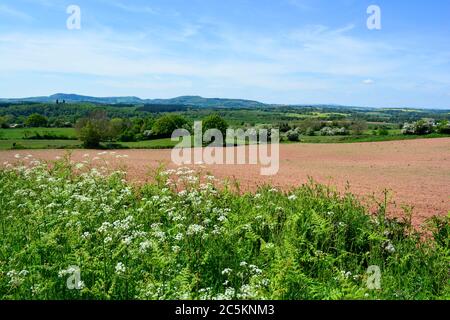 Vue sur les champs au printemps à Dunhampton, Worcestershire, Angleterre Banque D'Images