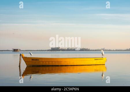 Canoë de pêche jaune avec des oiseaux sur le beau lac dans un paysage tropical au Brésil Banque D'Images