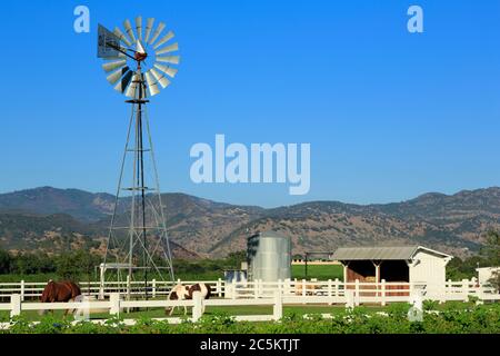 Nickle & Nickle Winery, St. Helena, Napa Valley, Californie, États-Unis Banque D'Images