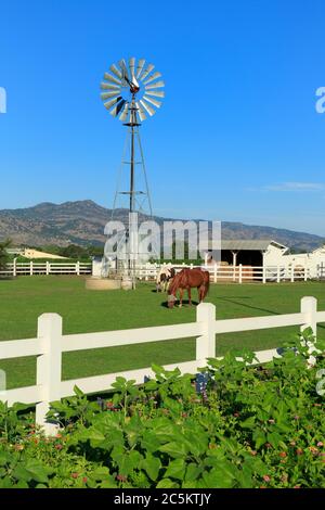 Nickle & Nickle Winery, St. Helena, Napa Valley, Californie, États-Unis Banque D'Images