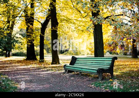 Paysage d'automne doré avec banc en bois sous des arbres colorés (chêne) à la chaude journée ensoleillée. Parc avec un banc et un chemin avec des feuilles jaunes dans le aut Banque D'Images