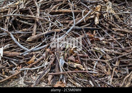 Pile de branches sèches de différents arbres écrasées en petits morceaux. Matériel pour fournir un abri, pour les insectes, pour les insectes hôtel, bug hôtel ou bugs maison Banque D'Images