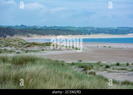 Les plages de sable doré sur la côte de l'Irlande à Curracloe et Raven's point dans le comté de Wexford Banque D'Images