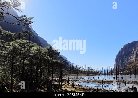 beauté sauvage et pittoresque du lac madhuri / lac sangetsar tso / lac sangestar tso, entouré par la forêt de conifères, tawang, arunachal pradesh, en inde Banque D'Images