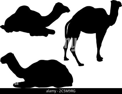 Ensemble d'illustrations vectorielles de silhouette Camels Illustration de Vecteur