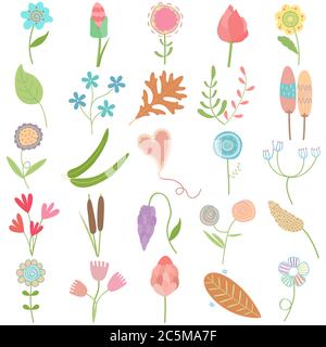 Feuille de fleur dessinée à la main pastel, adorable motif vectoriel ensemble de caniche comme motif graphique éléments floraux Illustration de Vecteur