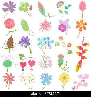 Feuille de fleur dessinée à la main pastel, adorable motif vectoriel ensemble de caniche comme motif graphique éléments floraux Illustration de Vecteur