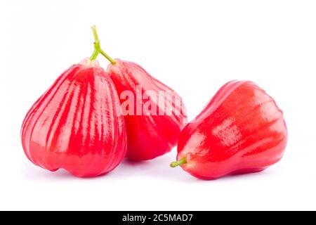 pomme rose ou chomphu sur fond blanc nourriture saine de fruit de pomme rose isolée Banque D'Images