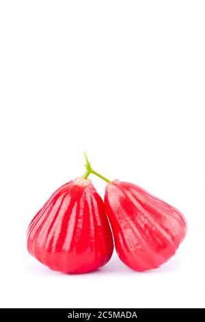 pomme de rose rouge ou pommes d'eau sur fond blanc nourriture saine de fruit de pomme de rose isolée Banque D'Images