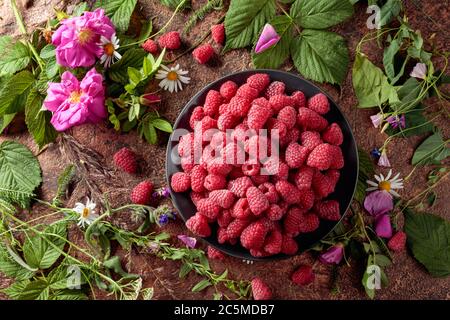 Framboises fraîches juteuses sur une assiette noire. L'été encore la vie avec, framboises, fleurs et herbes de prairie. Vue du dessus. Banque D'Images