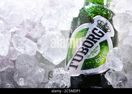 POZNAN, POL - 10 JUIN 2020 : bouteille de bière Tuborg, produite par une société de brassage danoise fondée en 1873 près de Copenhague Banque D'Images