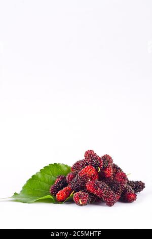 groupe de mûres avec des gaspares sur fond blanc aliments sains de fruits mûriers isolés Banque D'Images