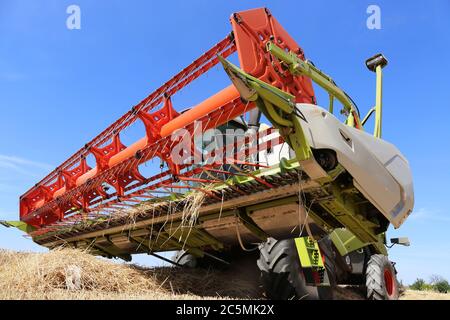 Récolte agricole de céréales, Allemagne Banque D'Images