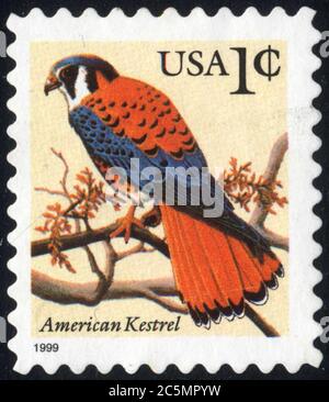 Timbre American Kestrel. ÉTATS-UNIS. 1C. 1999. Oiseau Banque D'Images