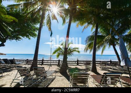 Vider la plage de palmiers pendant l'été ensoleillé pendant l'épidémie de coronavirus en Thaïlande. Banque D'Images