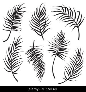 Silhouettes de feuilles de palmier isolées sur fond blanc. Illustration vectorielle Illustration de Vecteur